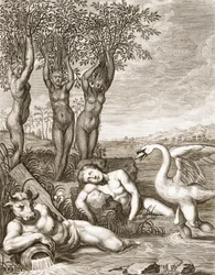 Cygnus verwandelt sich in einen Schwan und Phaetons Schwestern in Pappeln, 1731